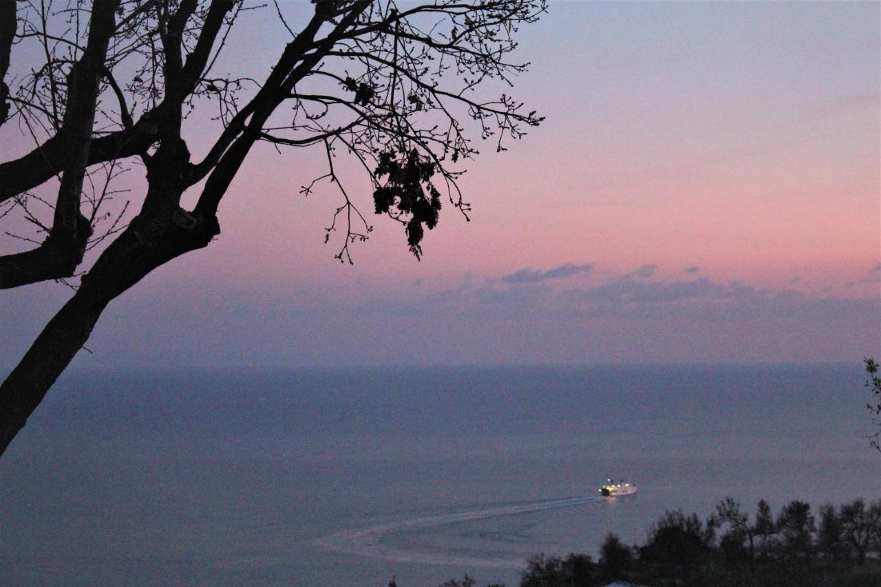 Villa Treglia B&B Formia Exteriör bild