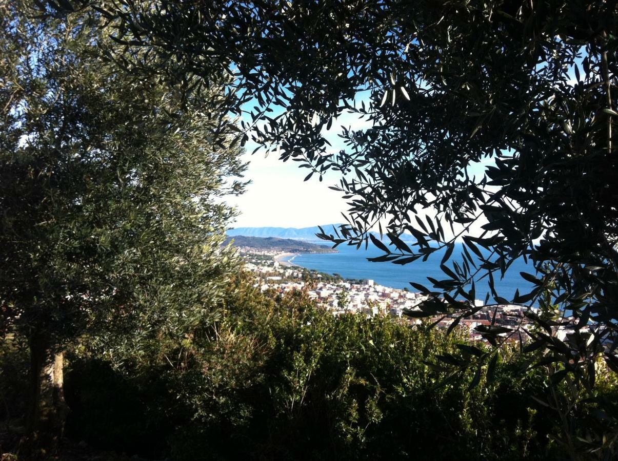Villa Treglia B&B Formia Exteriör bild